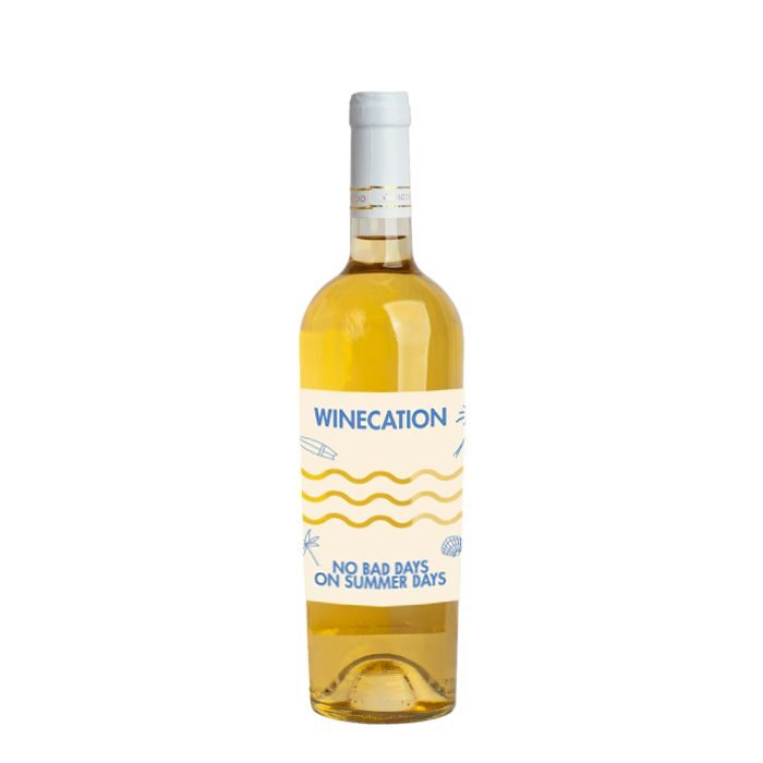 Winecation 2026