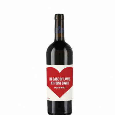 In Case of Love 2026